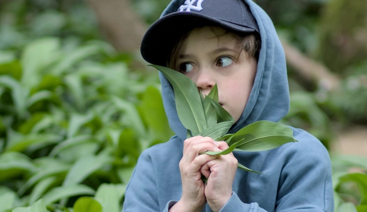 UK Grant Giving - child with leaves UK Grant Giving - child with leaves